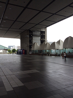 IMG_0762.jpg