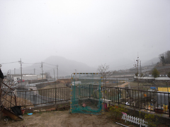 RIMG0003.jpg