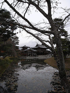 c620a301.jpg